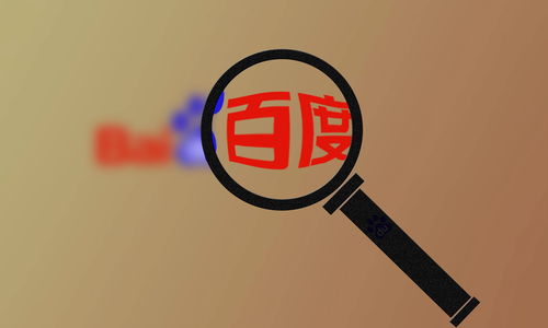 蜘蛛池收录揭秘seo秒收快排